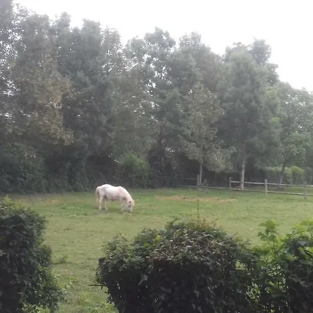 Holiday home La Tiny House De L'aa *