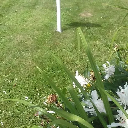 La Tiny House De L'aa